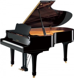 YAMAHA平台型鋼琴(C5 MPE)